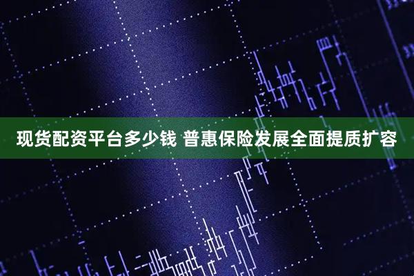 现货配资平台多少钱 普惠保险发展全面提质扩容
